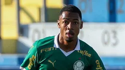 Allan, em ação pelo PAlmeiras - Foto: Cesar Greco/ PAlmeiras