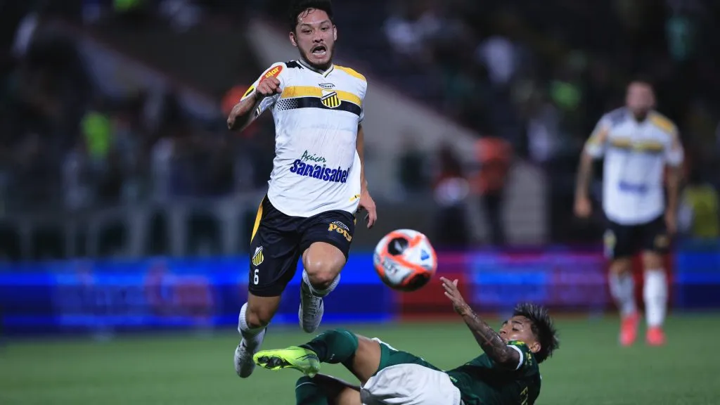 Palmeiras perdeu para o Novorizontino de virada. Foto: Ettore Chiereguini/AGIF