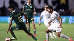 SANTOS X PALMEIRAS Foto: Marcello Zambrana/AGIF