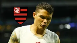 SP - SAO PAULO - 08/12/2024 - BRASILEIRO A 2024, PALMEIRAS X FLUMINENSE - Thiago Silva jogador do Fluminense paga promessa apos partida contra o Palmeiras no estadio Arena Allianz Parque pelo campeonato Brasileiro A 2024.