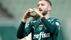 Zé Rafael ainda tem contrato vigente no Palmeiras e passará por cirurgia na coluna