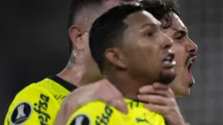 Mauricio jogador do Palmeiras comemora seu gol com Rony jogador da sua equipe durante partida contra o Botafogo no estadio Engenhao pelo campeonato Copa Libertadores 2024. Foto: Jorge Rodrigues/AGIF