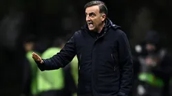 Carlos Carvalhal pode ser alvo do Internacional. Foto: Octavio Passos/Getty Images