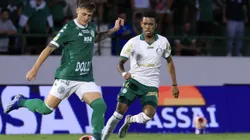 Guarani x Palmeiras pelo Campeonato Paulista 2025. Foto: Marcello Zambrana/AGIF