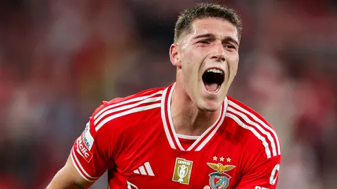Benjamín Rollheiser é o novo reforço do Peixe para a temporada 2025 - Foto: Divulgação/Benfica