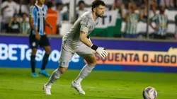 Tiago Volpi do Grêmio em partida do Gauchão 2025/Foto: Luiz Erbes/AGIF