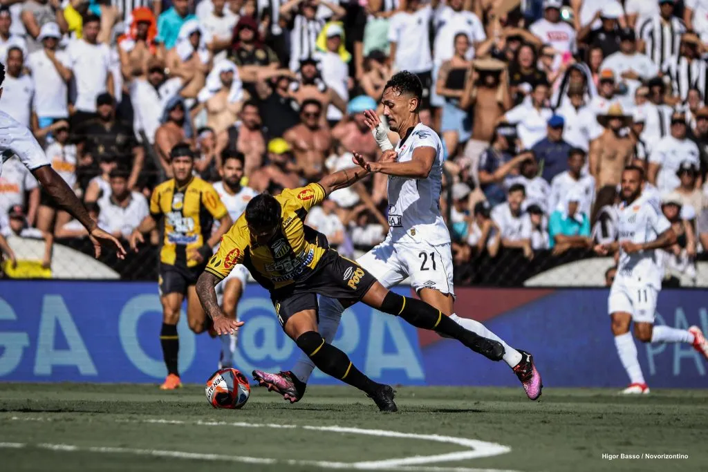 Gabriel Brazão salva o Santos de derrota contra o Novorizontino. Foto: Higor Basso/Novorizontino.