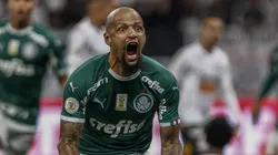 Felipe Melo, ex-Palmeiras, está próximo de novo emprego e Globo costura acordo