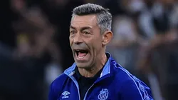 Pedro Caixinha não cogita deixar o Santos - - Foto: Marcello Zambrana/AGIF