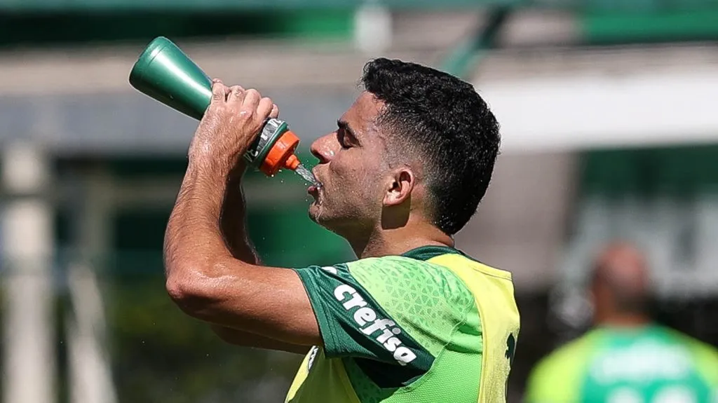 Bruno Rodrigues sofreu com lesões sérias - (Foto: Cesar Greco/Palmeiras/by Canon).