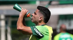 Bruno Rodrigues sofreu com lesões sérias - (Foto: Cesar Greco/Palmeiras/by Canon).
