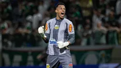 Novorizontino x Mirassol pelo Campeonato Paulista