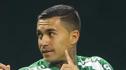 Dudu, ex-jogador do Palestra, reprova jogos em gramado artificial.