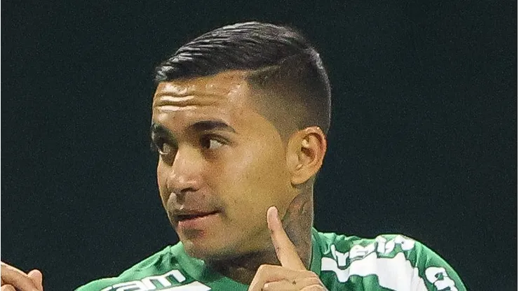 Dudu, ex-jogador do Palestra, reprova jogos em gramado artificial.