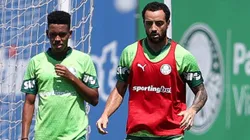 Estêvão será uma novidade no time do Palmeiras contra Botafogo-SP
