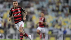 Flamengo venceu três clássicos e empatou um no ano.