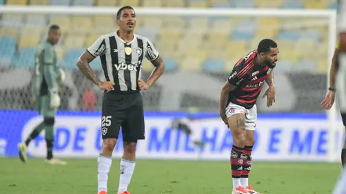 Botafogo está sem treinador e tem sofrido dentro de campo.