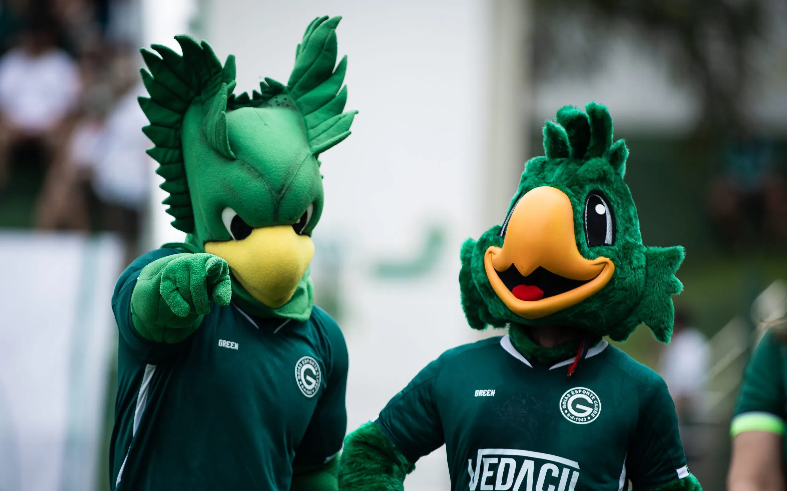 : Isabela Azine/AGIF