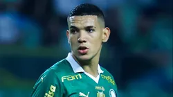 Naves, zagueiro do Palmeiras