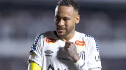 Neymar pediu reforços ao Santos - Foto: Ettore Chiereguini/AGIF.