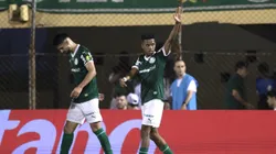 Estêvão, jogador do Palmeiras, comemora seu gol durante partida contra o Sao Bernardo no estadio Primeiro de Maio pelo campeonato Paulista 2025. Foto: Marcello Zambrana/AGIF