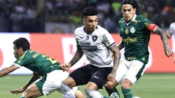 Palmeiras x Botafogo se enfrentam pela 1ª rodada do Brasileirão 2025.