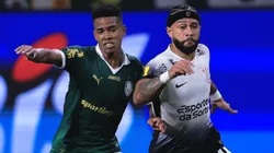 Palmeiras x Corinthians se enfrentarão pela final do Campeonato Paulista 2025. Foto: Ettore Chiereguini/AGIF