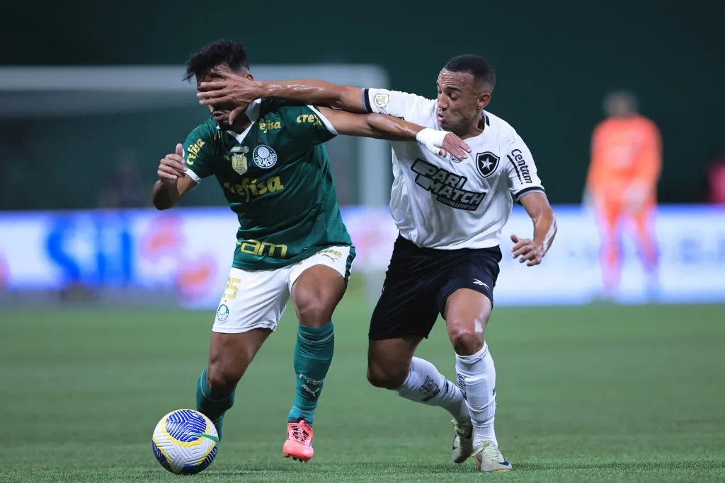 Botafogo venceu o Palmeiras em 2024 – Foto: Ettore Chiereguini/AGIF