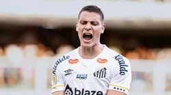 Furch está sem espaço no Santos - Foto: Abner Dourado/AGIF.