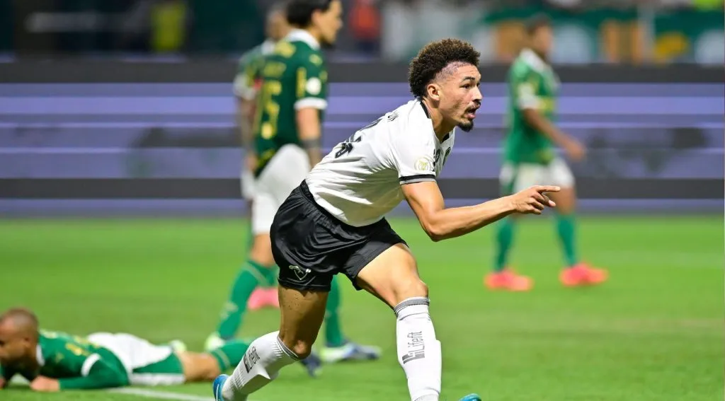 Adryelson em partida do Brasileirão entre Botafogo e Palmeiras. Foto: Eduardo Carmim / Alamy Stock Photo