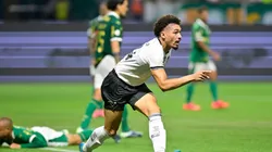 Adryelson em partida do Brasileirão entre Botafogo e Palmeiras. Foto: Eduardo Carmim / Alamy Stock Photo