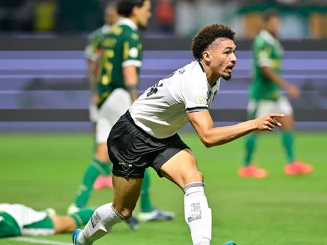 Palpite Palmeiras x Botafogo - Brasileirão - 30/03/2025