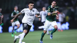 Palmeiras x Botafogo se enfrentam pelo Campeonato Brasileiro de 2025. Foto: Ettore Chiereguini/AGIF