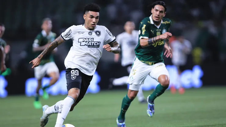 Palmeiras x Botafogo se enfrentam pelo Campeonato Brasileiro de 2025. Foto: Ettore Chiereguini/AGIF