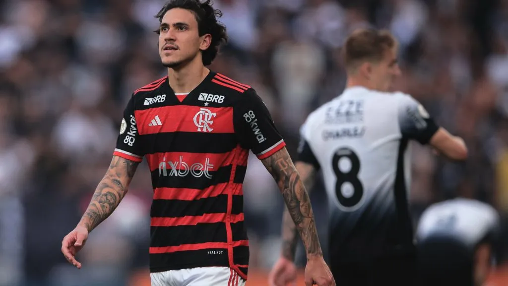 Pedro defendendo o Flamengo no Brasileirão 2024 – Foto: Ettore Chiereguini/AGIF
