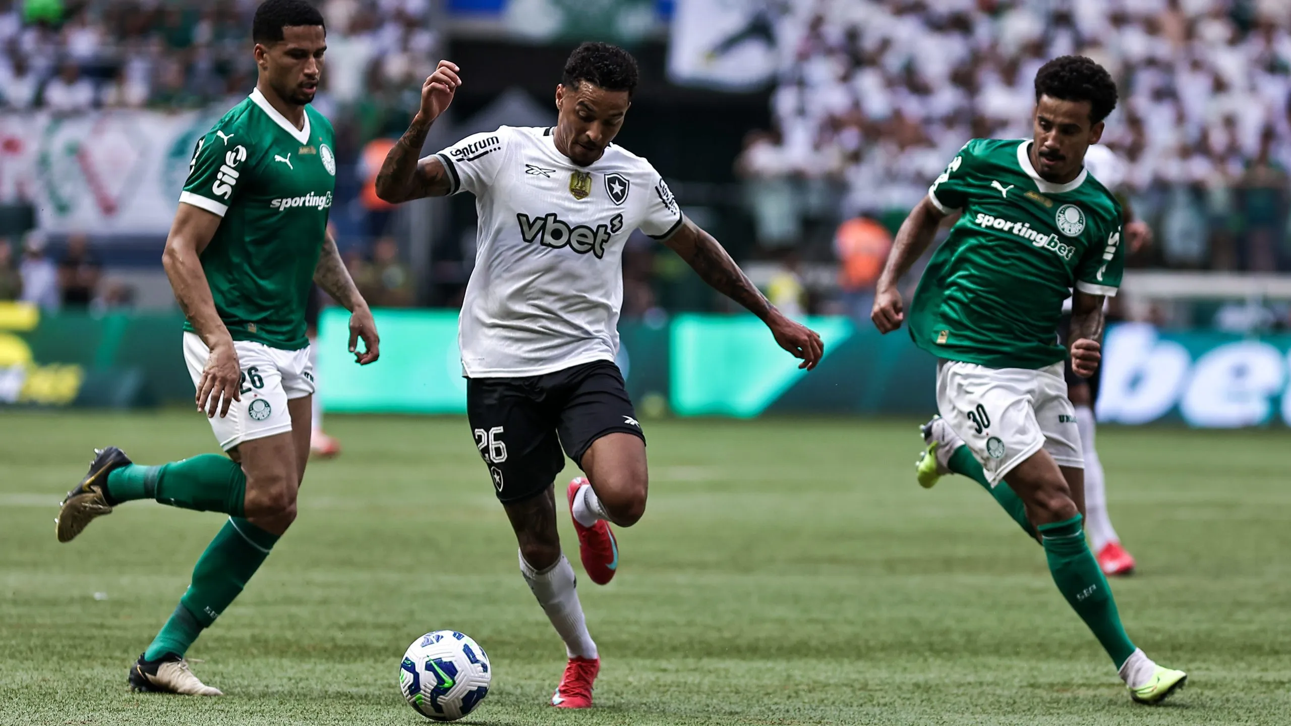 Palmeiras x Botafogo pelo Campeonato Brasileiro A 2025. Foto: Fabio Giannelli/AGIF