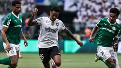 Empate contra o Palmeiras mantém marca impressionante do Fogão contra paulistas