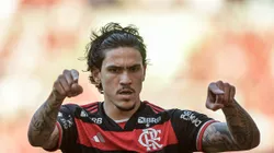 Pedro jogador do Flamengo comemora seu gol durante partida contra o Atlético-GO no estádio Maracanã pelo campeonato Brasileiro A 2024. Foto: Thiago Ribeiro/AGIF