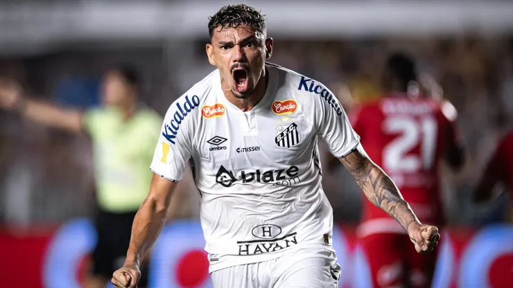 Tiquinho Soares é um dos artilheiros do Santos na temporada. Foto: Abner Dourado/AGIF