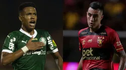 Sport x Palmeiras se enfrentam pelo Brasileirão 2025. Foto: AGIF