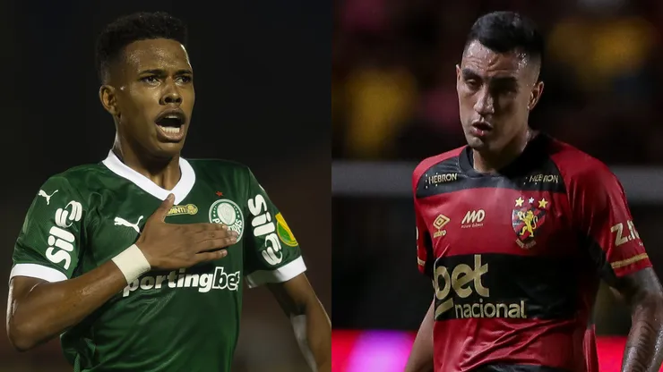 Sport x Palmeiras se enfrentam pelo Brasileirão 2025. Foto: AGIF