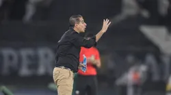 Renato Paiva, técnico do Botafogo, durante partida contra o Juventude, pelo Campeonato Brasileiro. Foto: Thiago Ribeiro/AGIF.