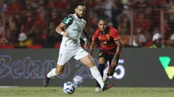 Sport x Palmeiras se enfrentam no Brasleirão 2025. Foto: Marlon Costa/AGIF