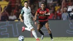 Sport x Palmeiras. Foto: Marlon Costa/AGIF