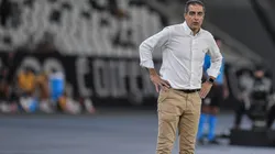 Renato Paiva no comando técnico do Botafogo - Foto: Thiago Ribeiro/AGIF