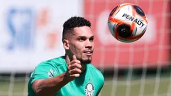 Paulinho deve estrear - (Foto: Cesar Greco/Palmeiras/by Canon).