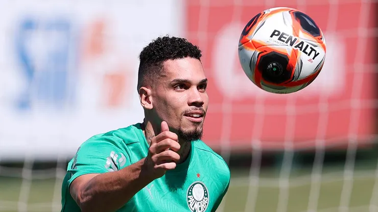 Paulinho deve estrear - (Foto: Cesar Greco/Palmeiras/by Canon).