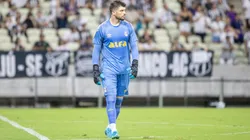 Tiago Volpi em ação pelo Grêmio no Campeonato Brasileiro - Foto: Baggio Rodrigues/AGIF