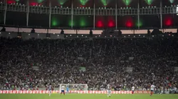 Torcida do Fluminense durante partida contra Bahia no estádio Maracanã pelo campeonato Brasileiro A 2024.