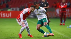 Internacional x Palmeiras se enfrentam pelo Campeonato Brasileiro 2025. Foto: Maxi Franzoi/AGIF